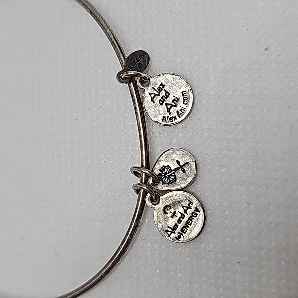 4 for $20 Alex and Ani Adjustable Bracelet - Picture 4 of 5